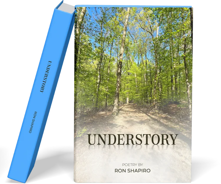 Americans Publisher publishing mission